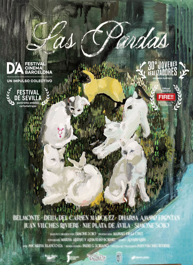Cartel cortometraje Las pardas