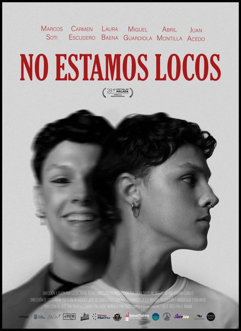 Cartel cortometraje No estamos locos
